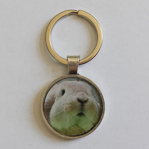 Klíčenka s fotografií (různé varianty)