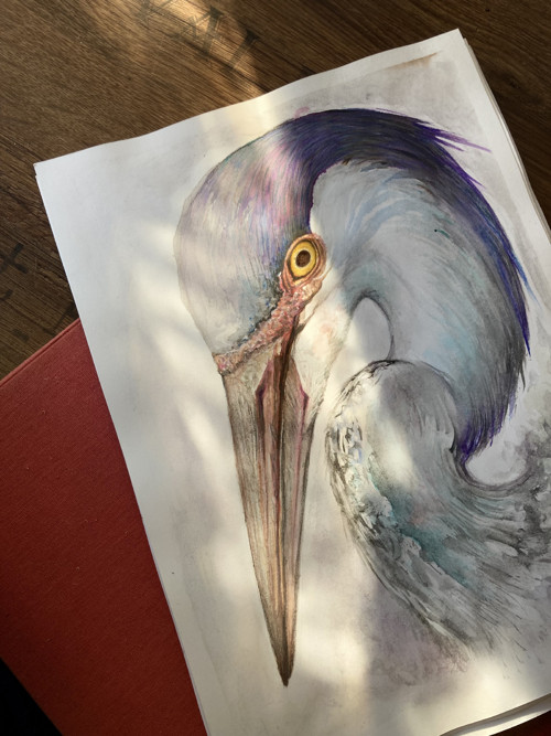 „Volavka“, print
