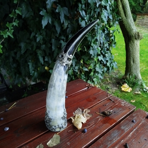 Vikingský Rituální Roh — foto 1