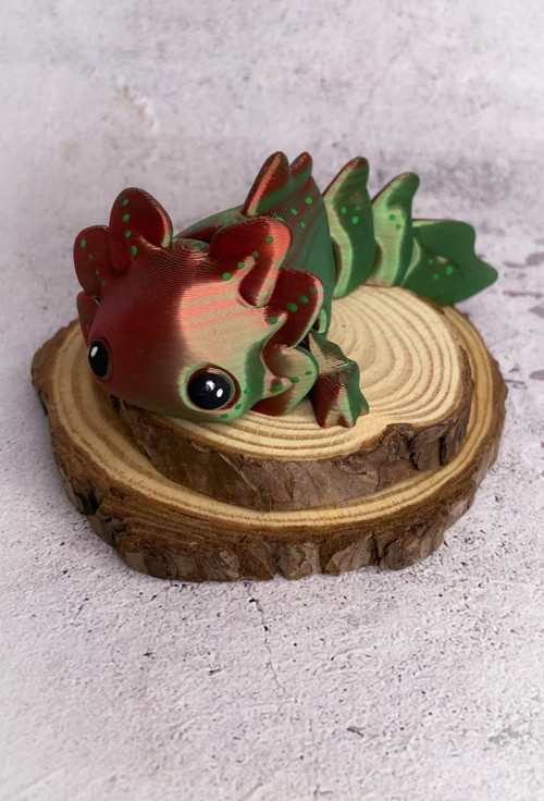 Axolotl vodní dráček zeleno červený