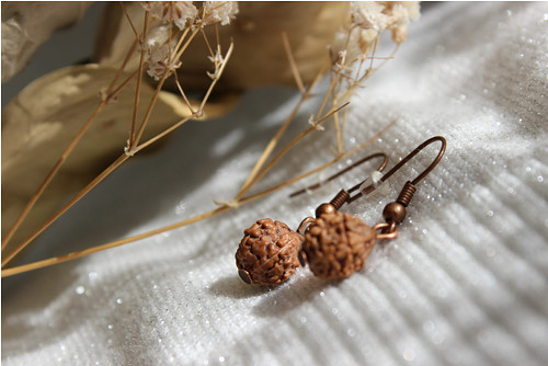 Rudraksha. "Síla přírody" Náušnice