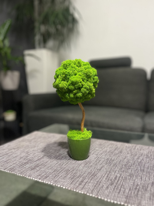 Mechová dekorace — foto 1
