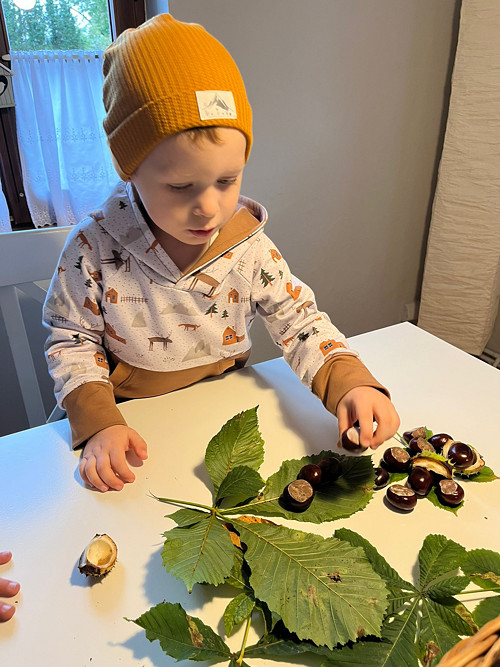 Dětská mikina SEVERSKÉ ZEMĚ