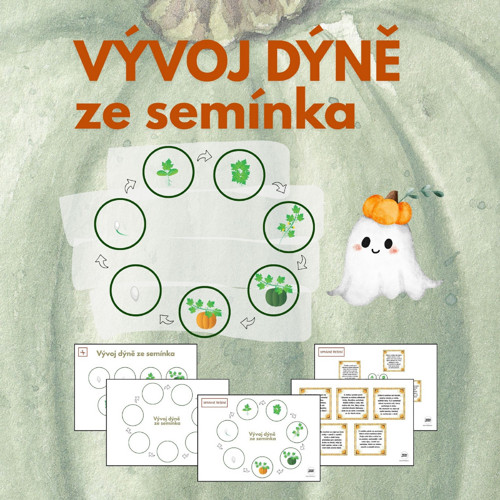 Vývoj dýně ze semínka - výukový materiál - pdf