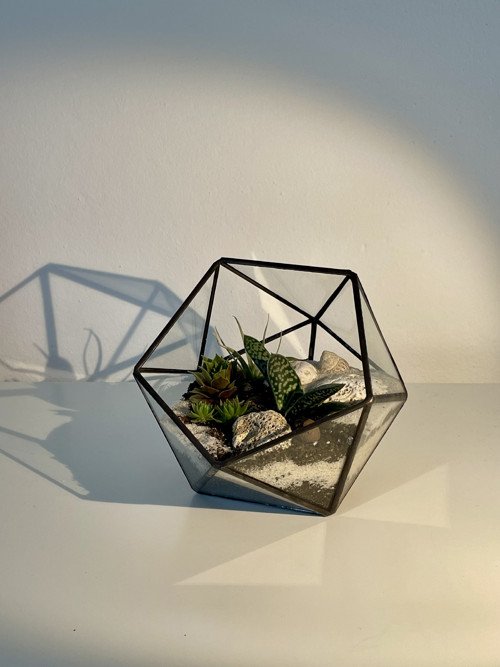 Florarium "Koulička "