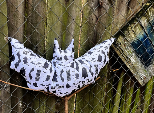 Kdo by nechtěl, kýho výra, na Halloween netopýra?