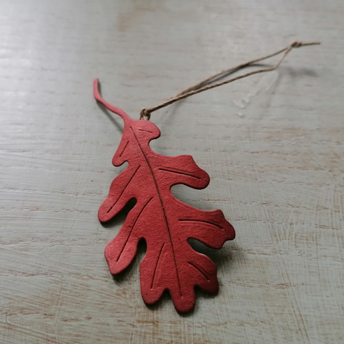 Dubový list — foto 1
