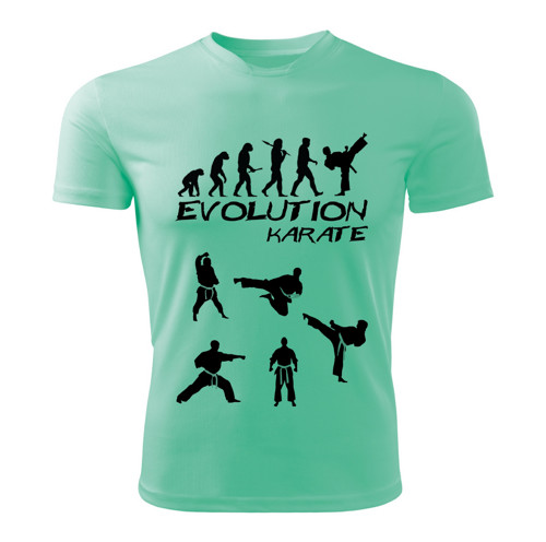 KARATE tričko Evolution mátové