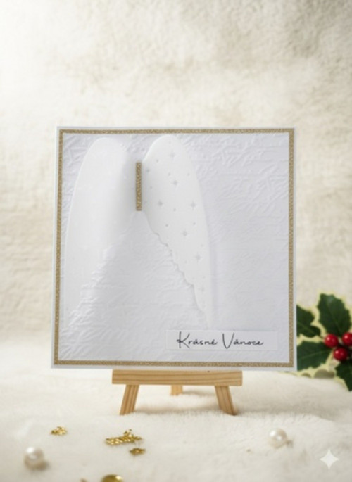 Vánoční přání X.