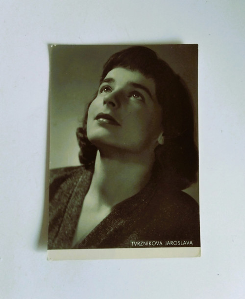 Fotografie - Jaroslava Tvrzníková
