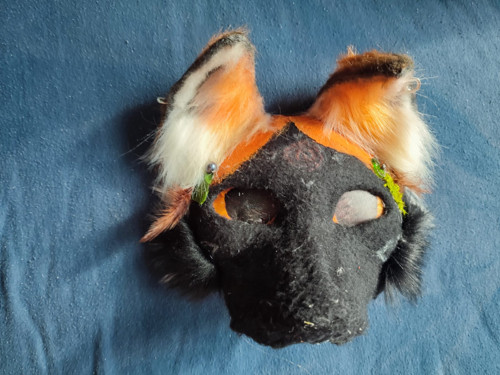Cross fox — foto 1