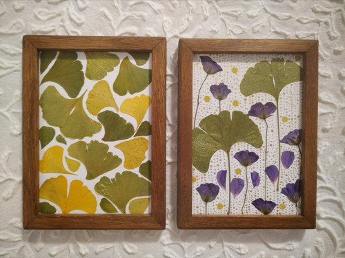 Obrázek Ginkgo