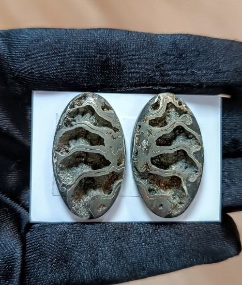 Pyritový Amonit - pár, ID 5219, 32x19 mm — foto 1