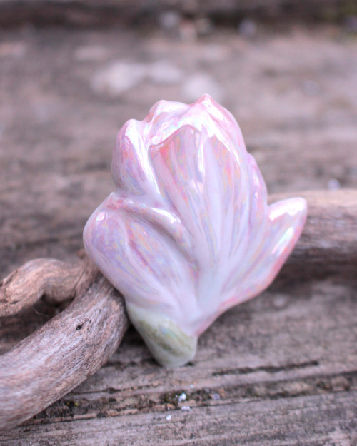 Magnolie
