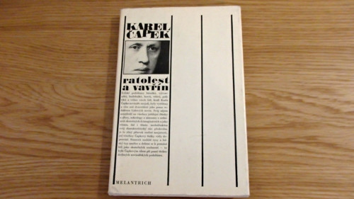 Ratolest a vavřín — foto 1