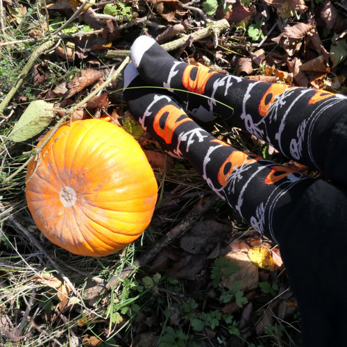 Podkolenky - Mochyně kostní