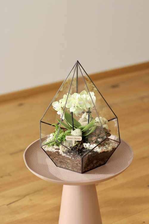 Rostlinné terárium s orchidejí – dárek k svátku