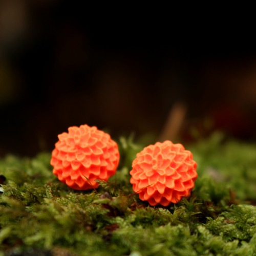 Jiřiny neonově oranžové - pecky 15 mm