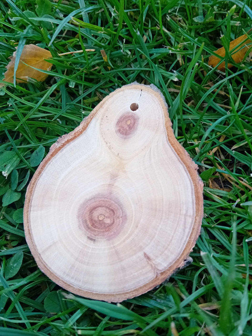 Jabloňový tvar 2 — foto 1