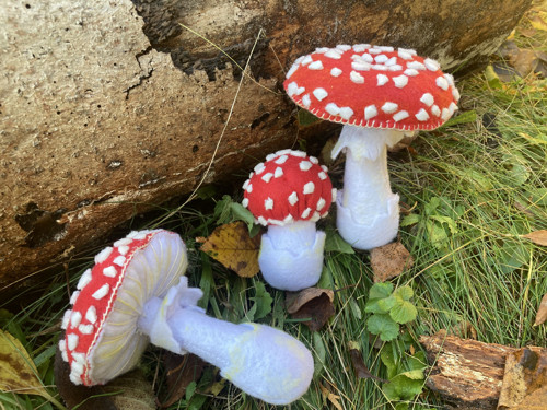 Muchomůrka z filcu- Montessori pomůcka