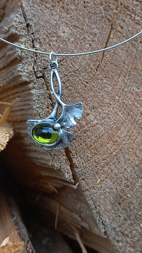 Ginkgo — foto 1