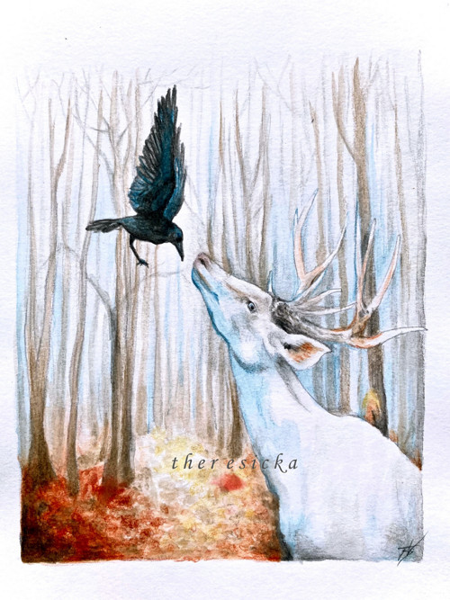„Magický les“, print na fotopapír