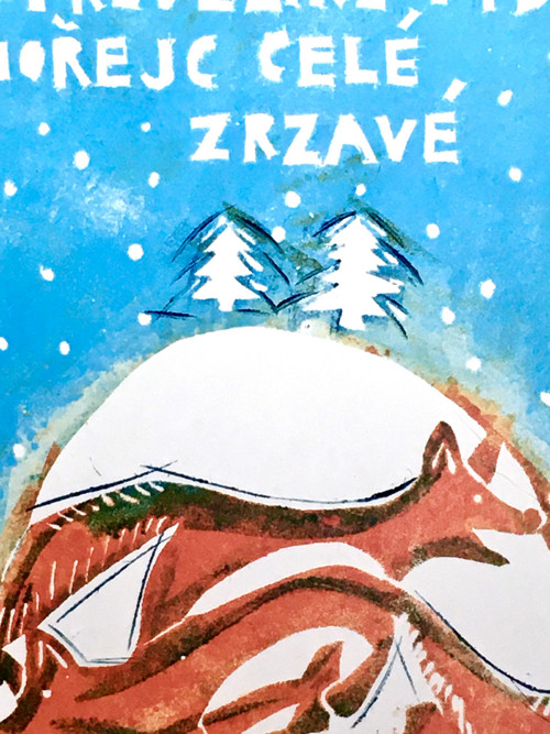 Lyžovaly lišky — foto 1