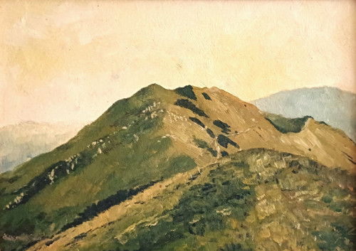 Obraz " Malá Fatra - hřebenovka "