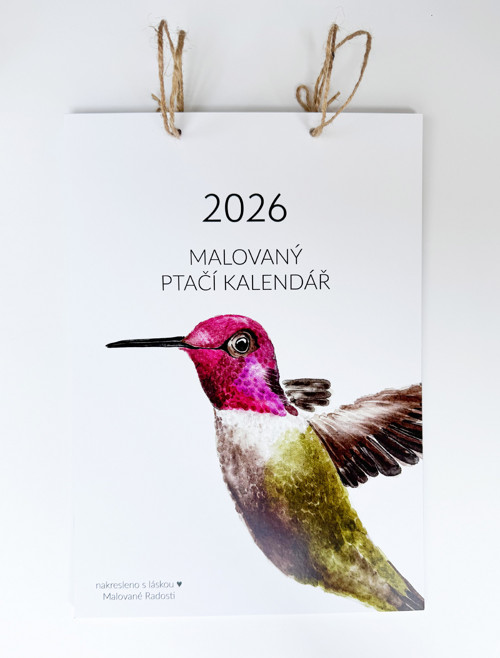 Malovaný ptačí kalendář 2026