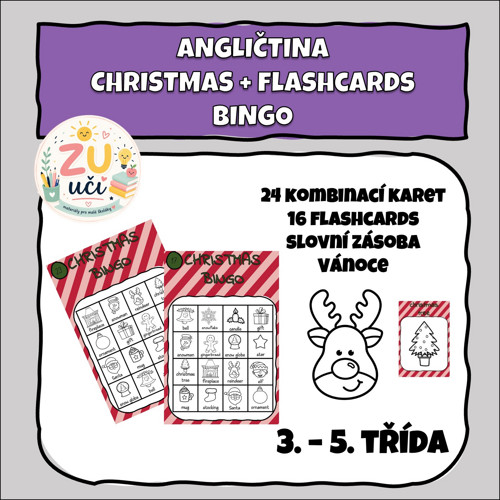 Christmas bingo + flashcards do AJ