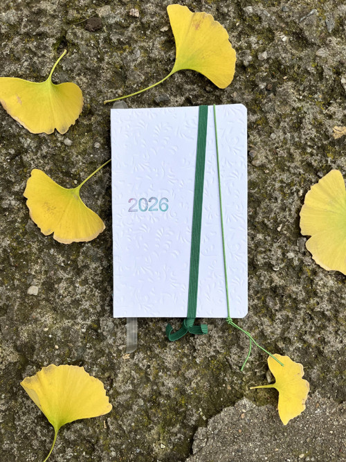 Diář 2026 #9 Minimalistický SLEVA — foto 1