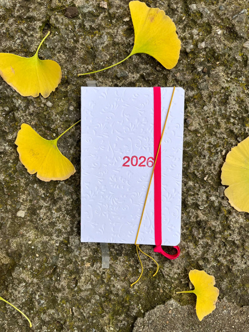 Diář 2026 #10 Minimalistický — foto 1