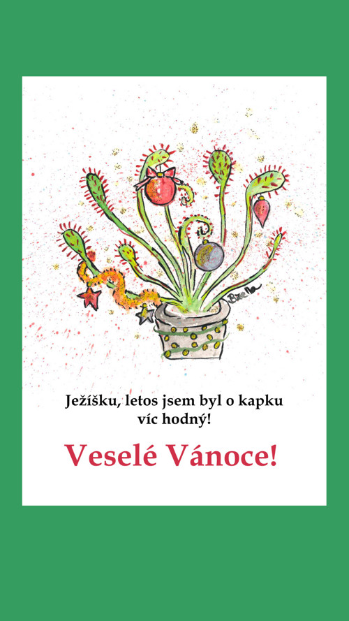 Vánoční přání Ježíšku, letos jsem byl hodný!