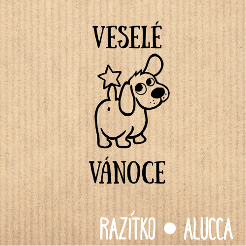 Razítko R558 vel.4 cm