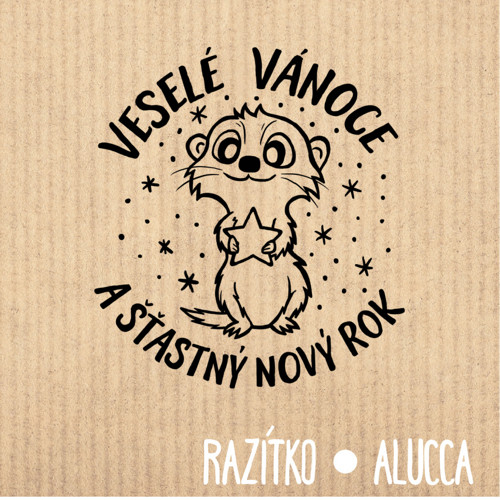 Razítko R595 vel.4 cm