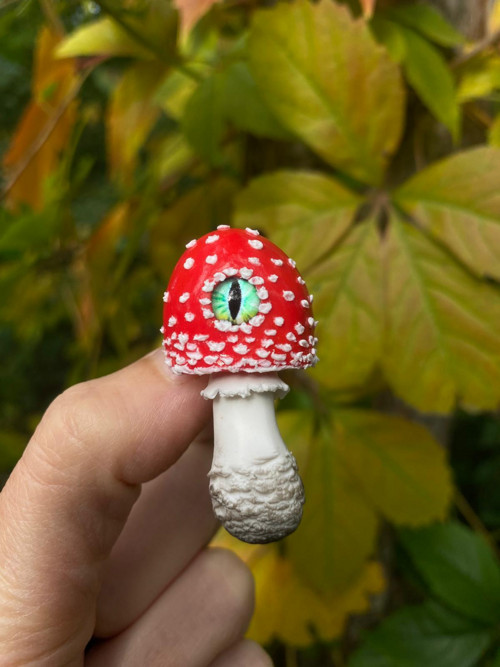 Fly Agaric