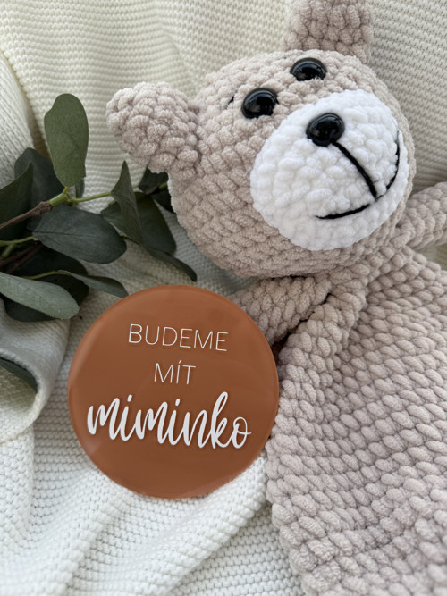 Milníkové kolečko 'Budeme mít miminko'