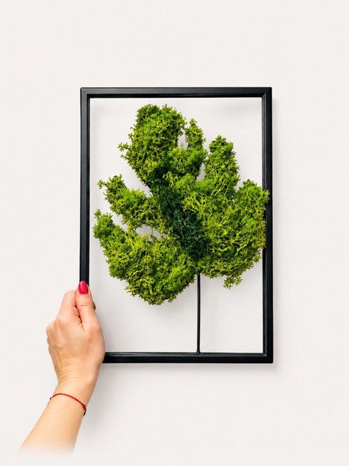 3D Monstera - mechový list 35 × 25cm