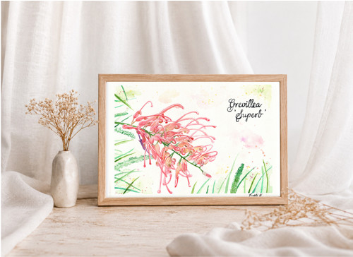 Tajemná Grevillea