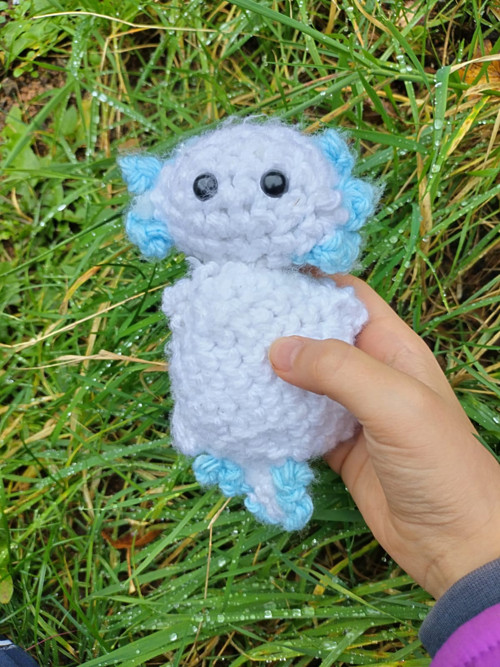 Háčkovaný axolotl