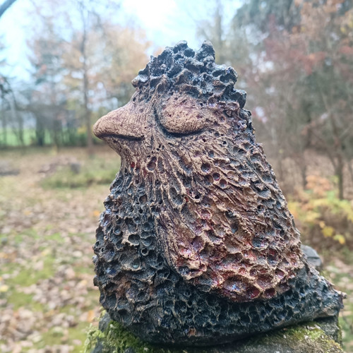 Čepejřák — foto 1