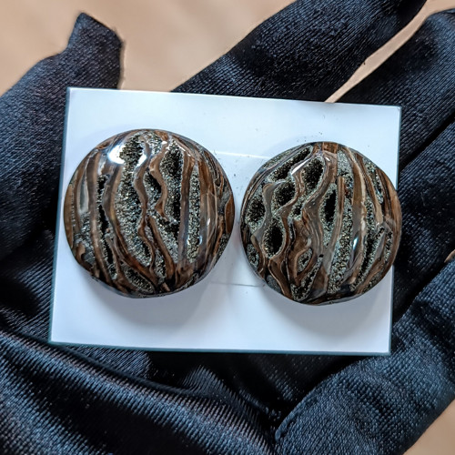 Simbircitový amonit s pyritem, ID 5299, 26 mm — foto 1