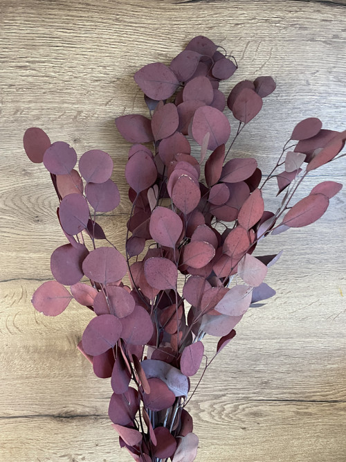 Stabilizovaný eucalyptus populus bordo 119 g