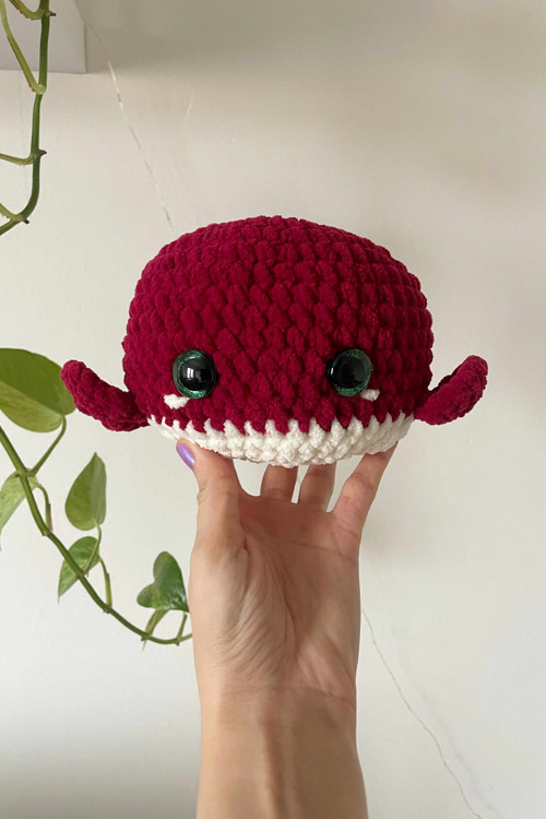 Velká burgundy velrybka — foto 1