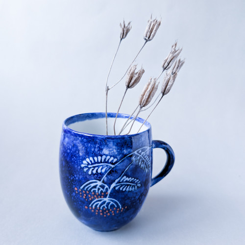 Hrnek JEŘABINY (500ml)