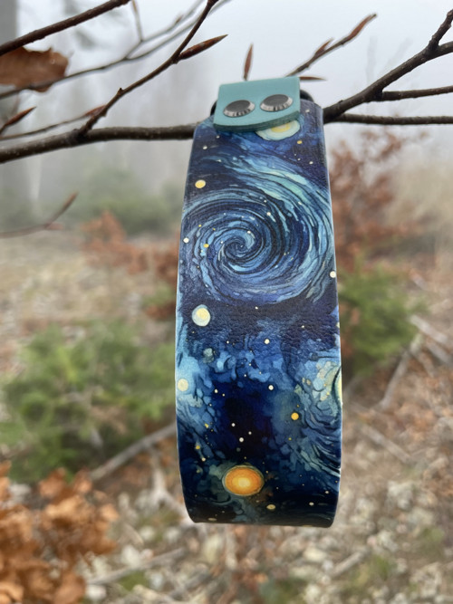 Biothane obojek - Van Gogh