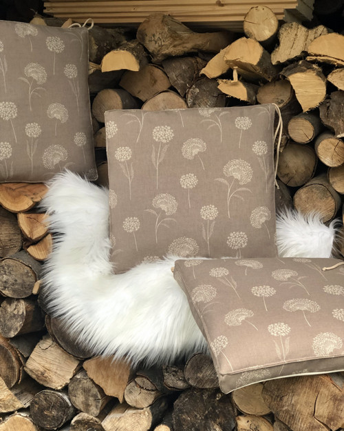 Sedák pampeliška — foto 1