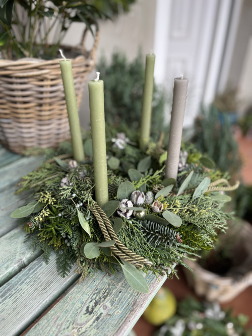 Adventní věnec zelenkavý — foto 1