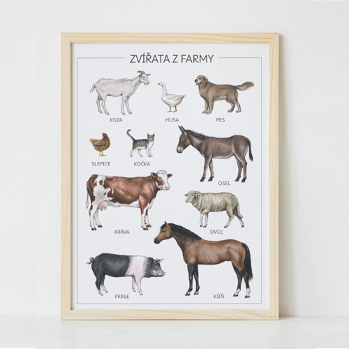 Montessori plakát A3 – zvířátka FARMA, PDF