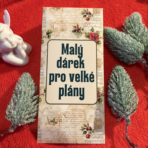 Obálka na peníze - Cesmína — foto 1